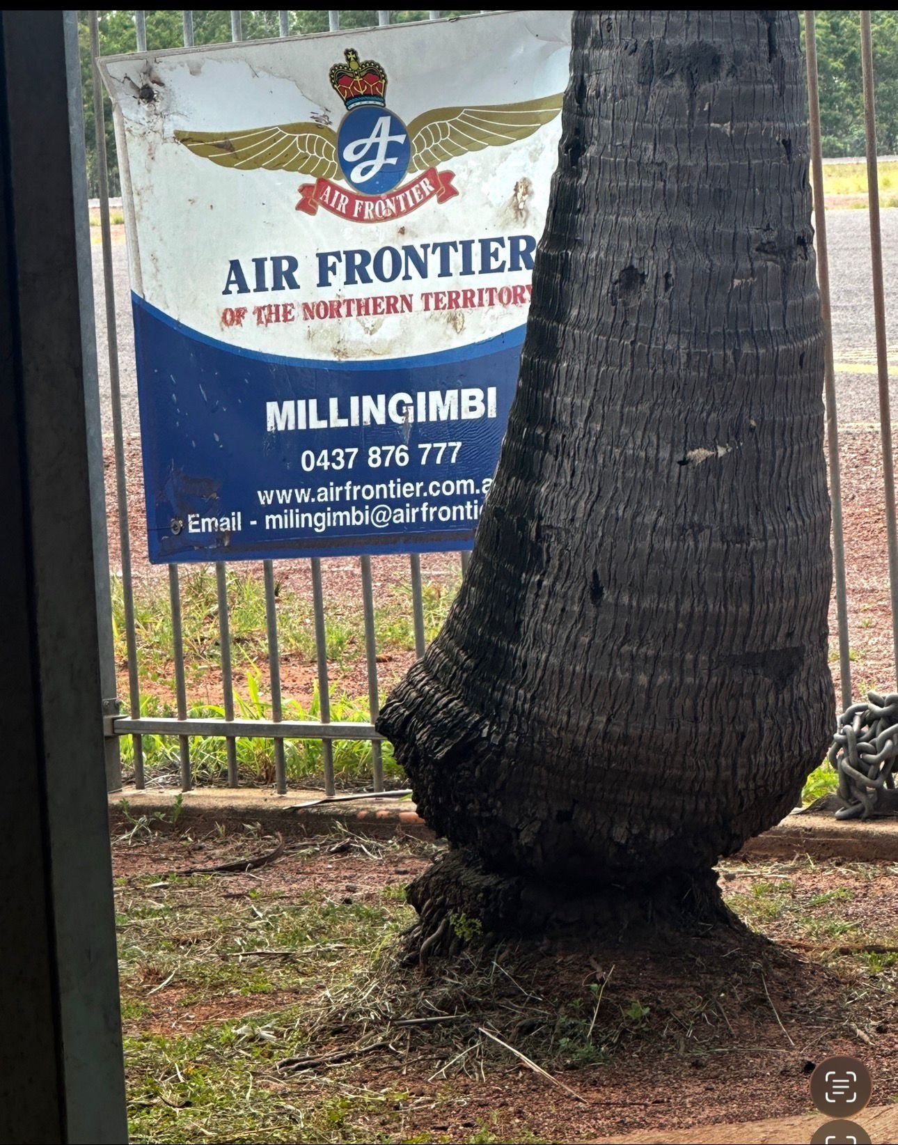Air Frontier airline sign attached to metal fence next to large palm tree trunk